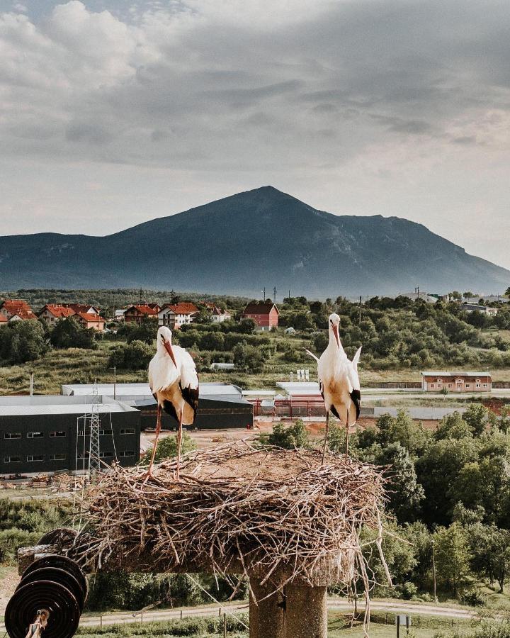 Rtanjska Bajka Lägenhet Boljevac Exteriör bild